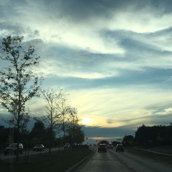 Meet your Posher, Sophia - Picture 1 of 1